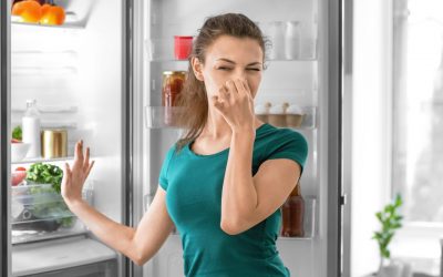 Limpiar (y descongelar) el frigorífico con tu Vaporeta